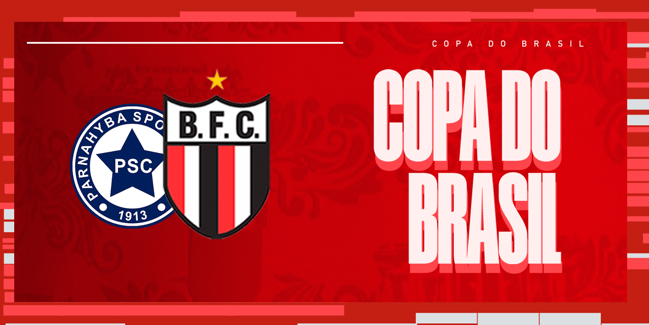 Copa do Brasil 2023: FFP libera 3.300 ingressos para jogo do Parnahyba  contra Botafogo-SP, copa do brasil